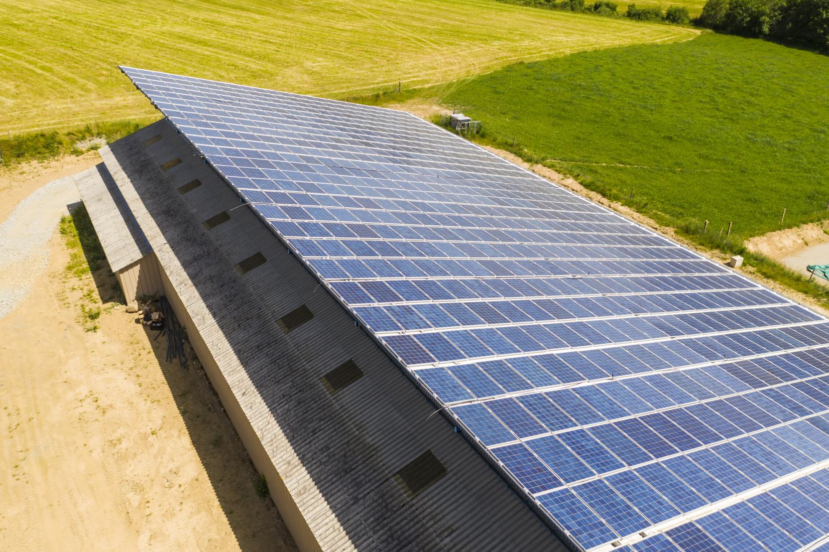 Proyecto Hirondelle - Venta de activos - 5 plantas fotovoltaicas - 646 kWp