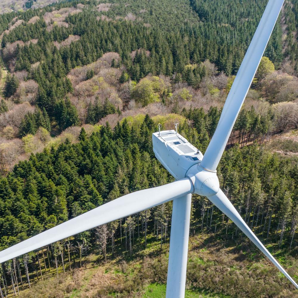 Article WindPower Monthly : Les prix se stabilisent dans l'appel d'offres éolien terrestre